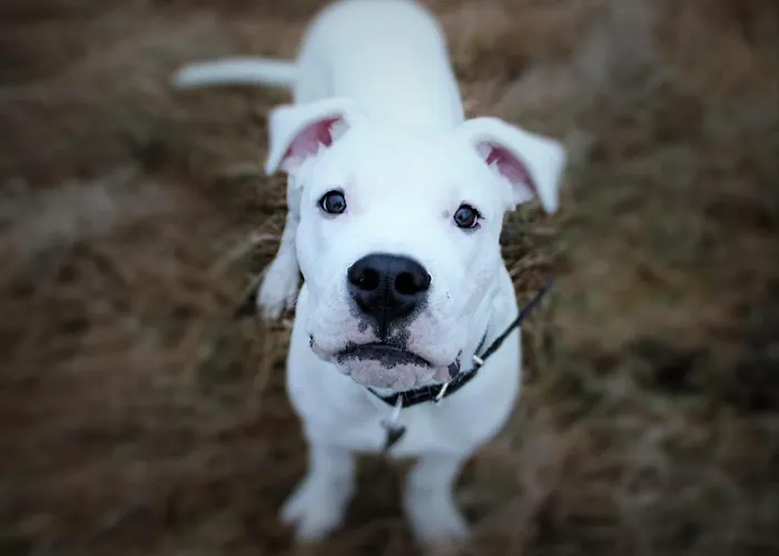 Loft 65 Panoramic View Appartamento *