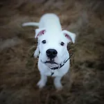 Loft 65 Panoramic View Apartman *